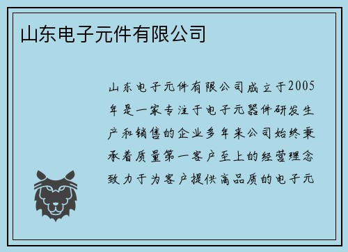 山东电子元件有限公司
